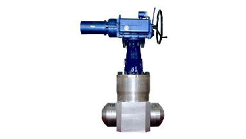 Main Steam Gate Valve